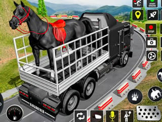 Animal Transporter Truck