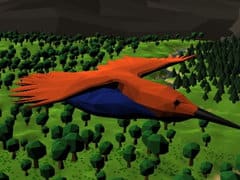 Bird Simulator