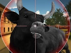 Bull Shooting