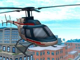 City Helicopter Flight