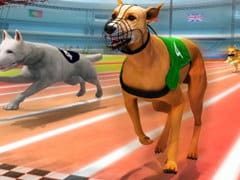 Crazy Dog Racing Fever