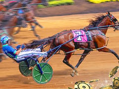 Harness Racing