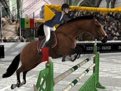 Horse Jumping Show 3D