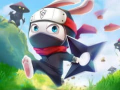 Ninja Rabbit