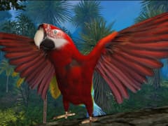 Parrot Simulator