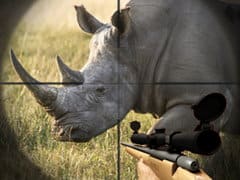 Wild Rhino Hunter